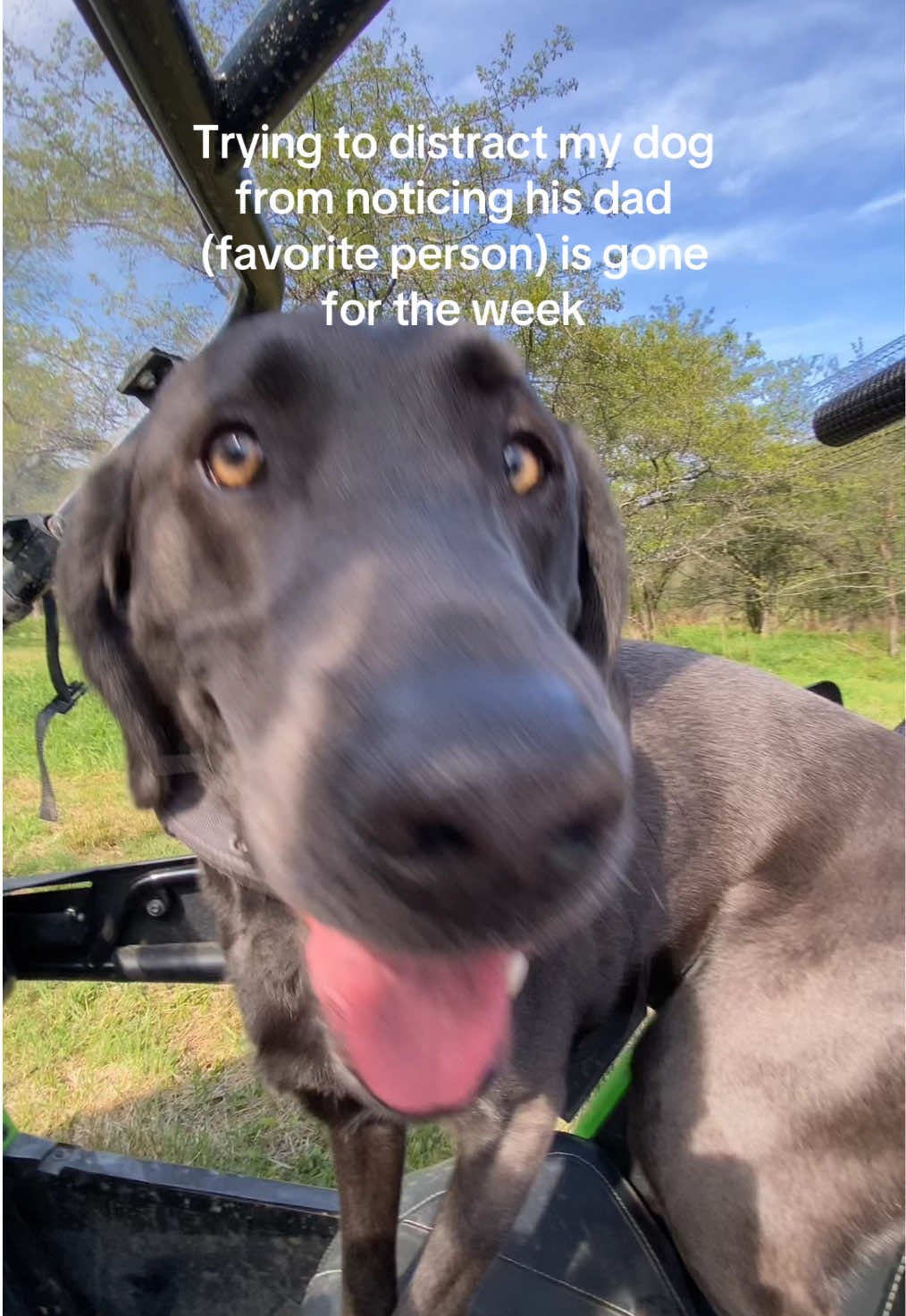 @Something in the Wild 🦬