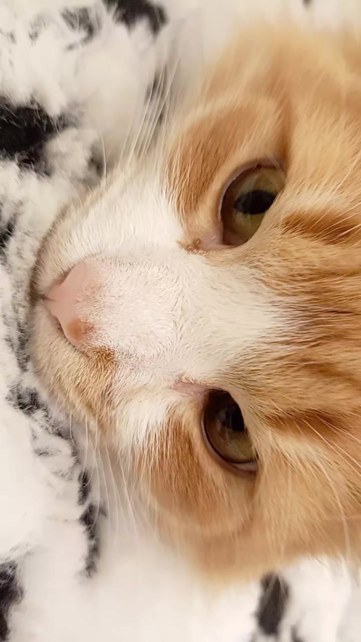 @L A W T 我愛我媽 ❤️