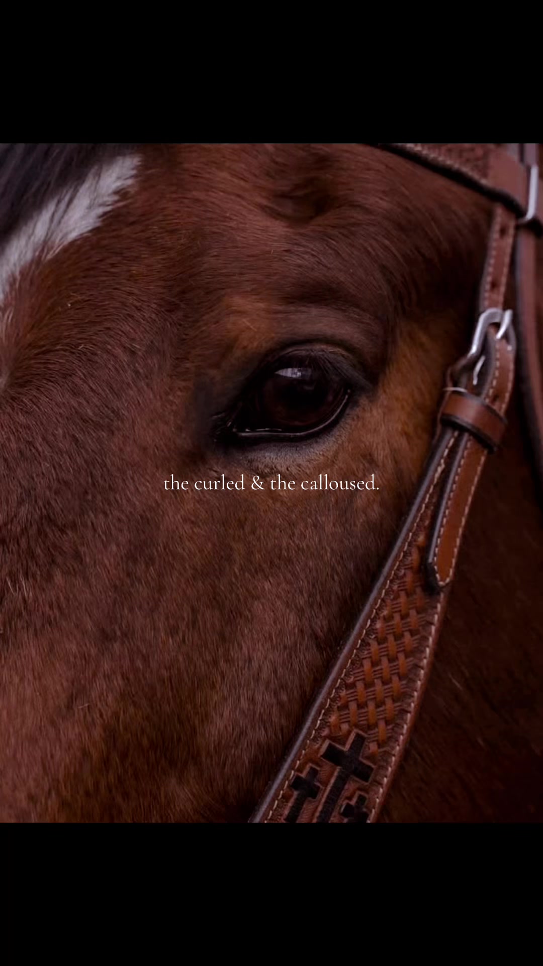 @Isabella|Aspiring Author❀