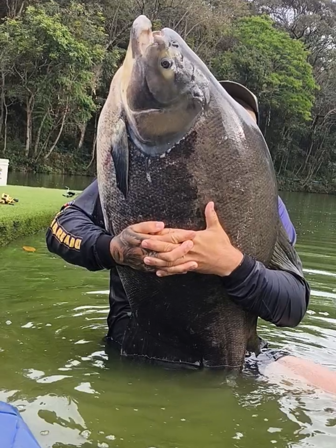 @Patrão da Pesca