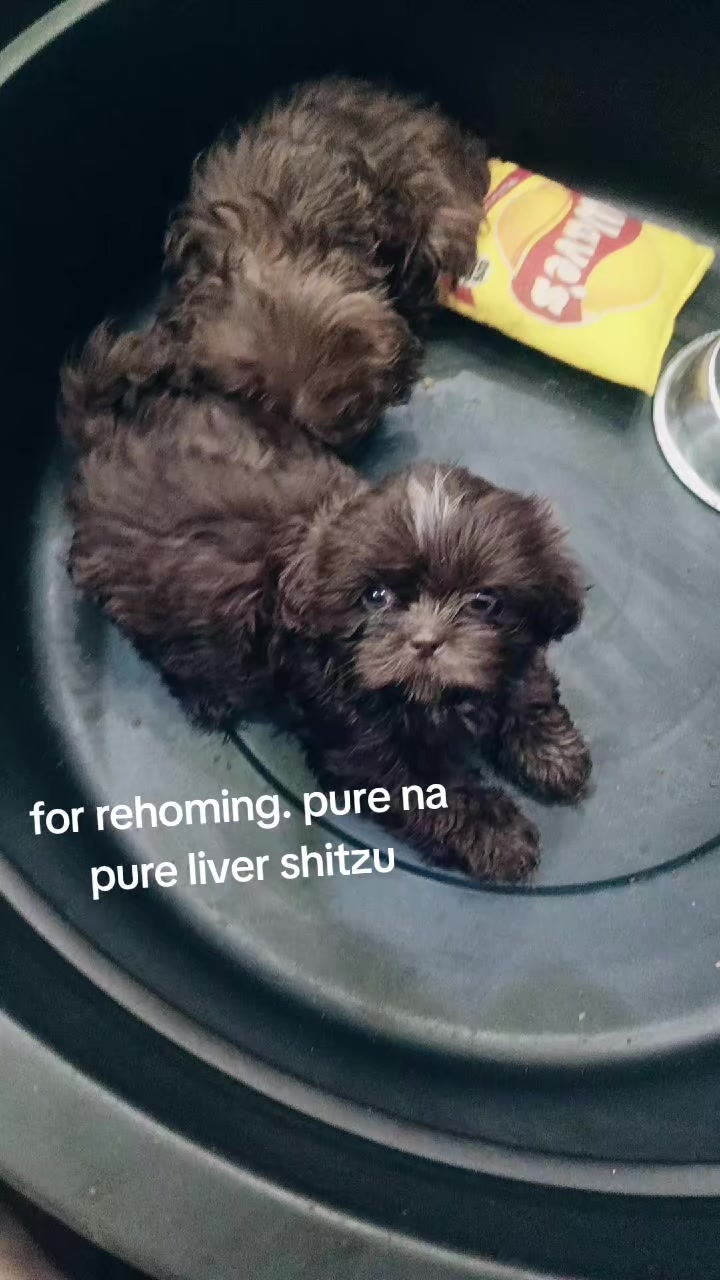 @angelkho25🧿