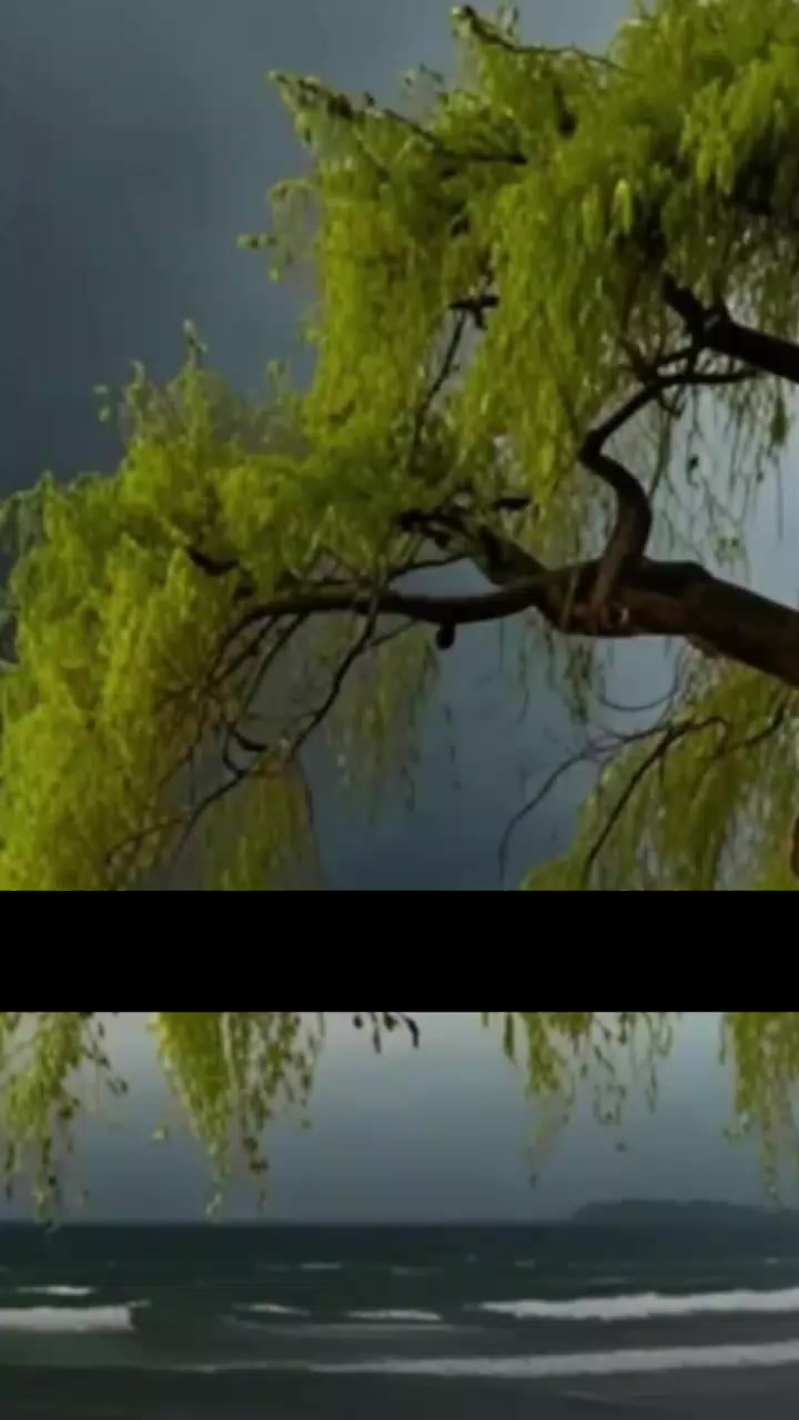 @😍Soni kuri😍