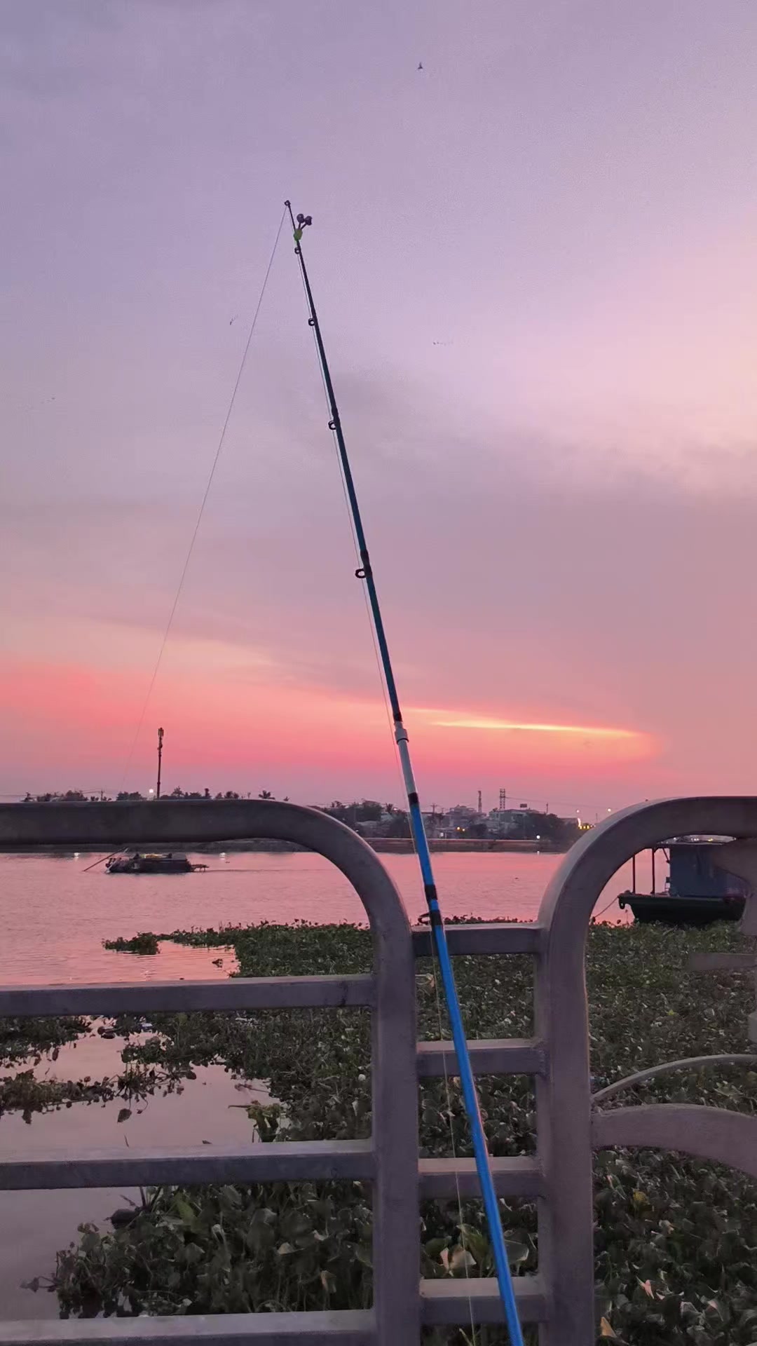 @Thợ Săn HuGo 🐟