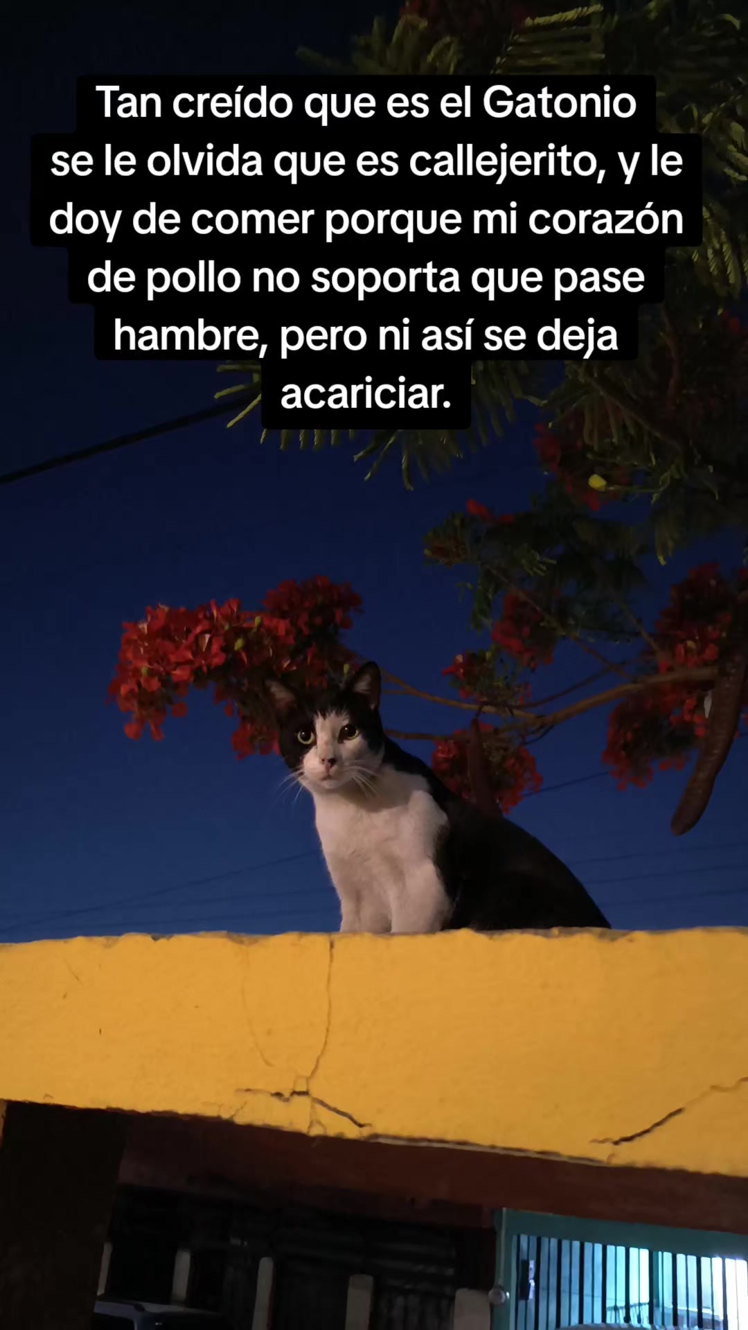 @Amy D..