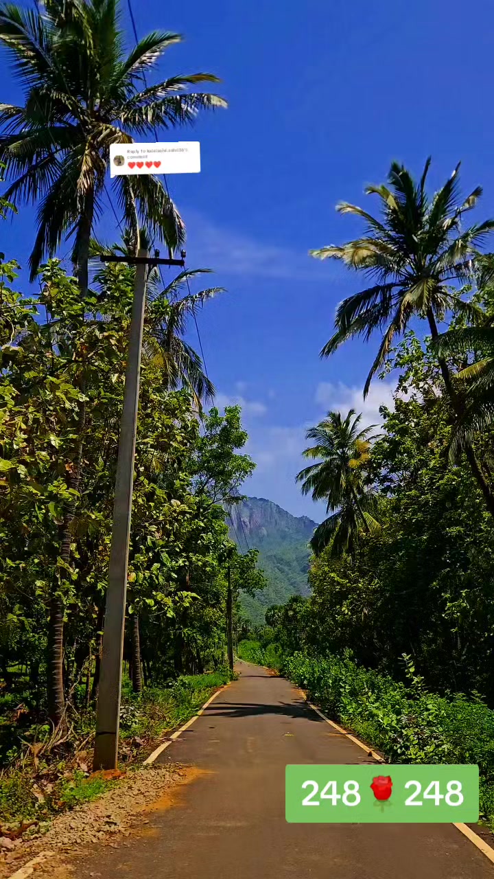 @பேப்பர் ஐடி    248 🌹1
