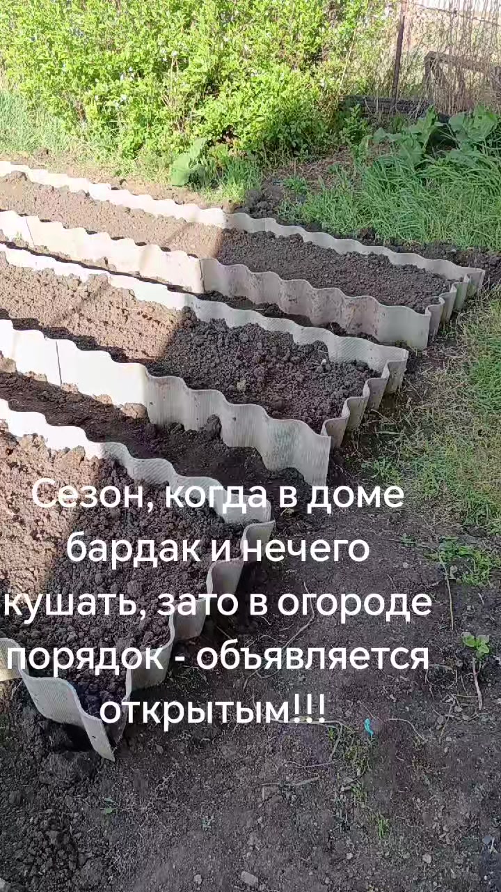 @Татьяна Бехт