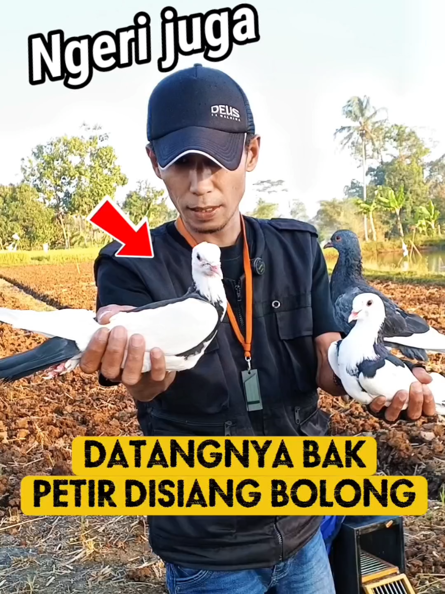 @BANG LEYON
