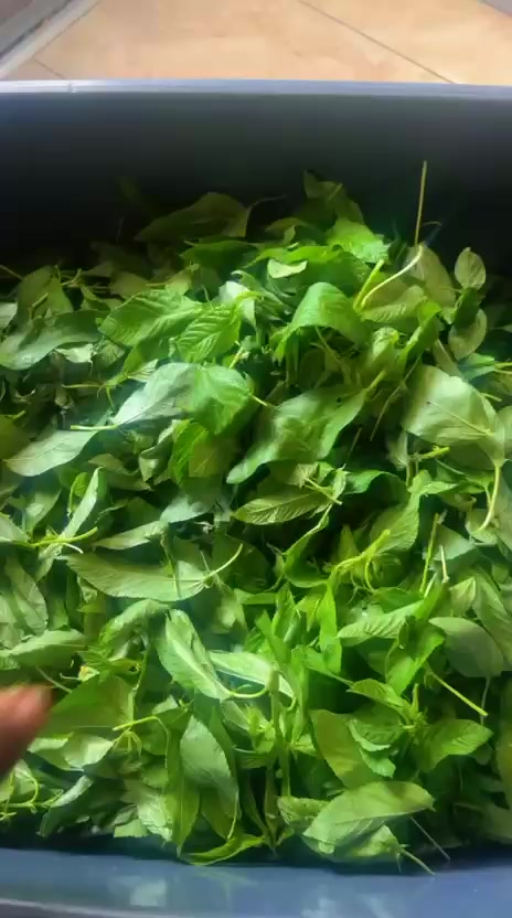 @GertysCuisine