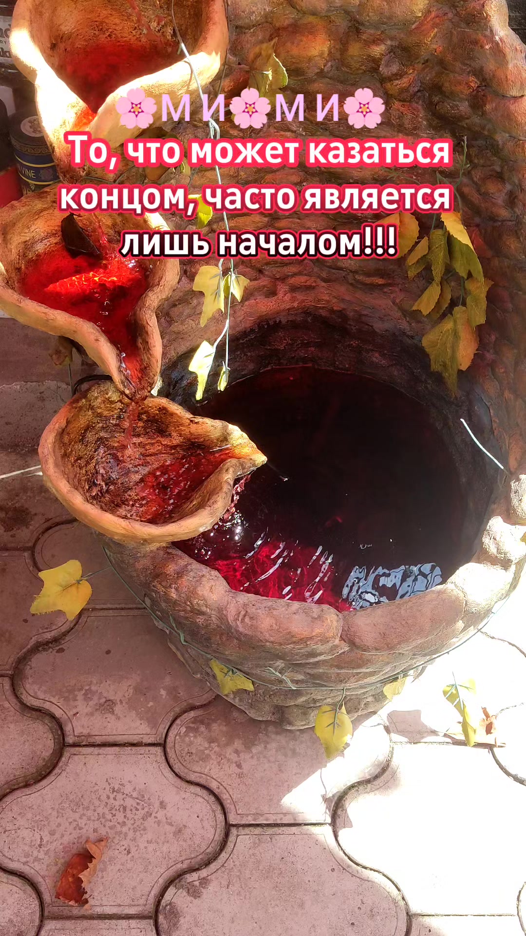 @꧁🌸МИ🌸МИ🌸꧂