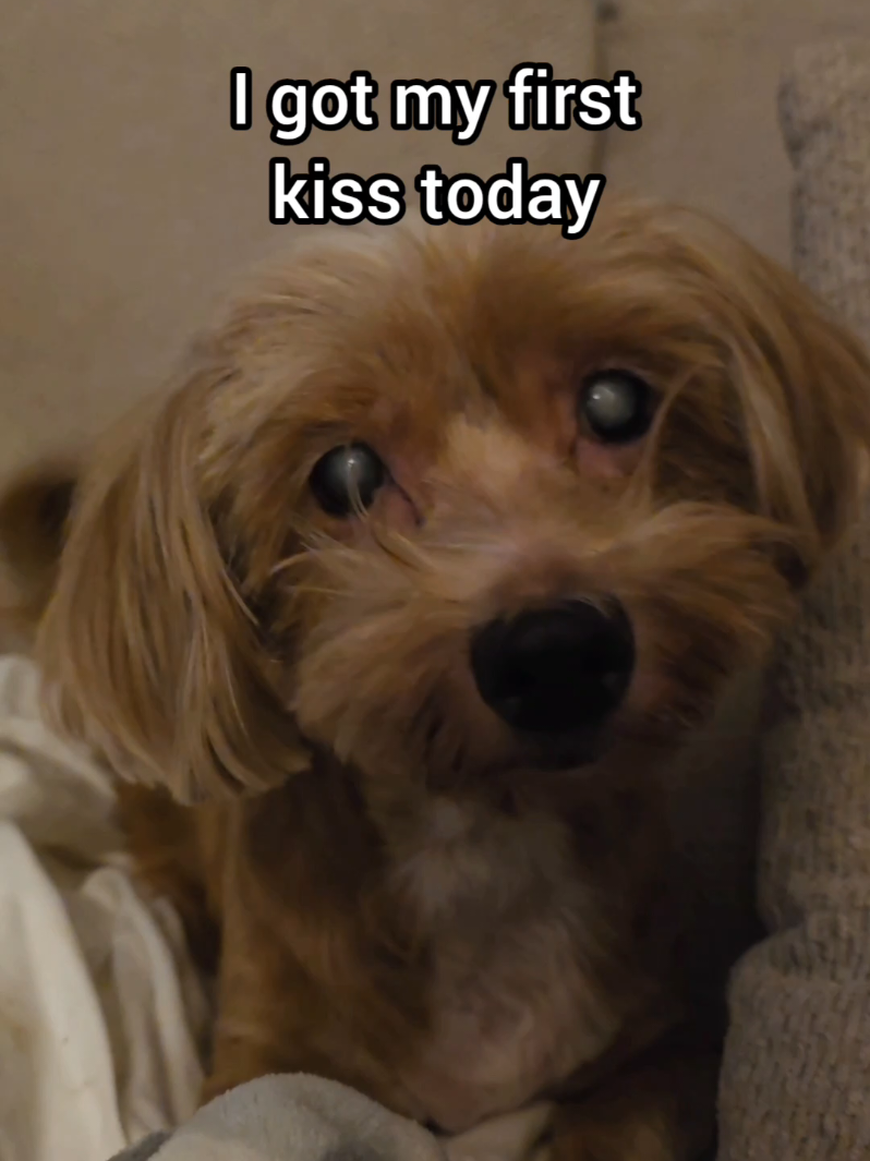 @BuddyandMikes Pal