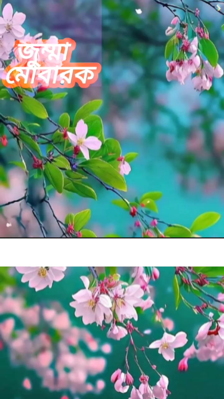 @❥︎🅝🅐🅨🅔🅔🅜 🅸🆂🅻🅰︎🅼❦︎