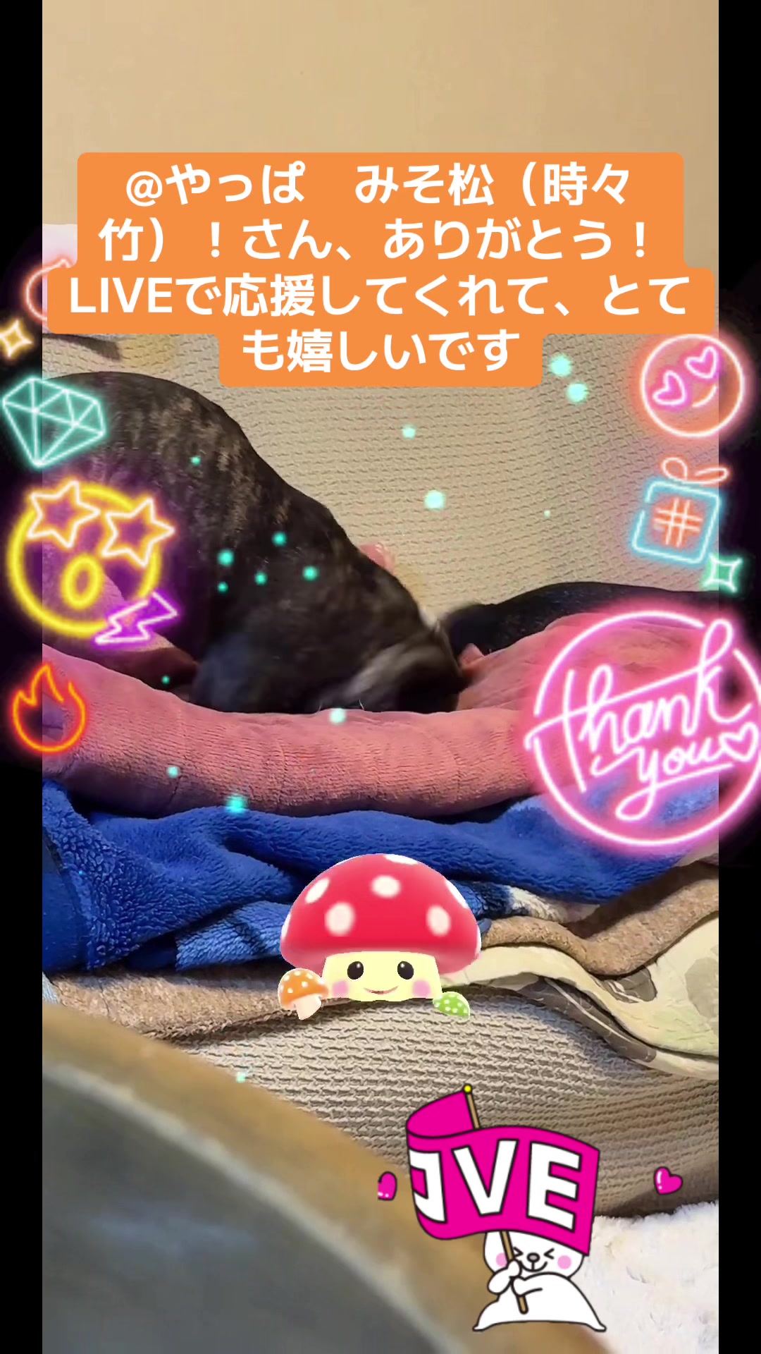 @遮那😎⚡️🐾