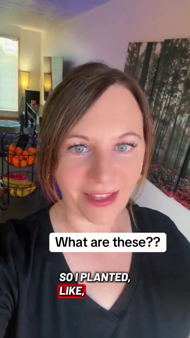 @Alli