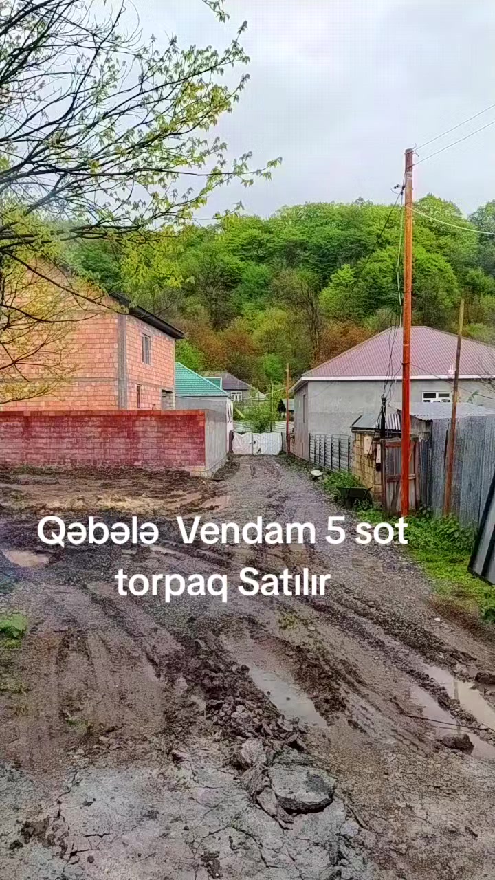 @Qebele Vendam.036