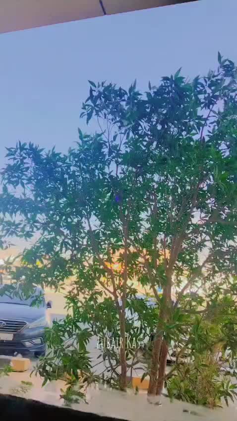 @ShعRRy TaNoLi