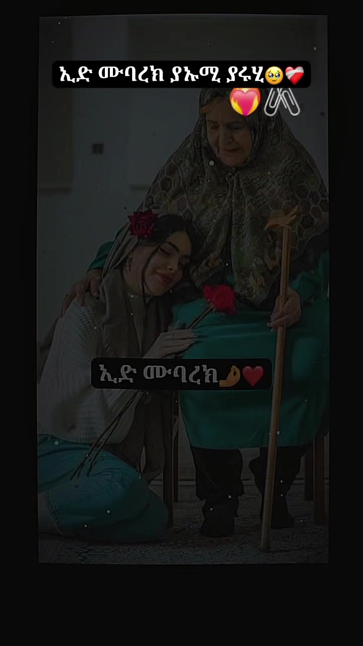 @โฅ๐๐ข๐๐ก ๐๐ฎ๐๐๐งโฆ๐ธ