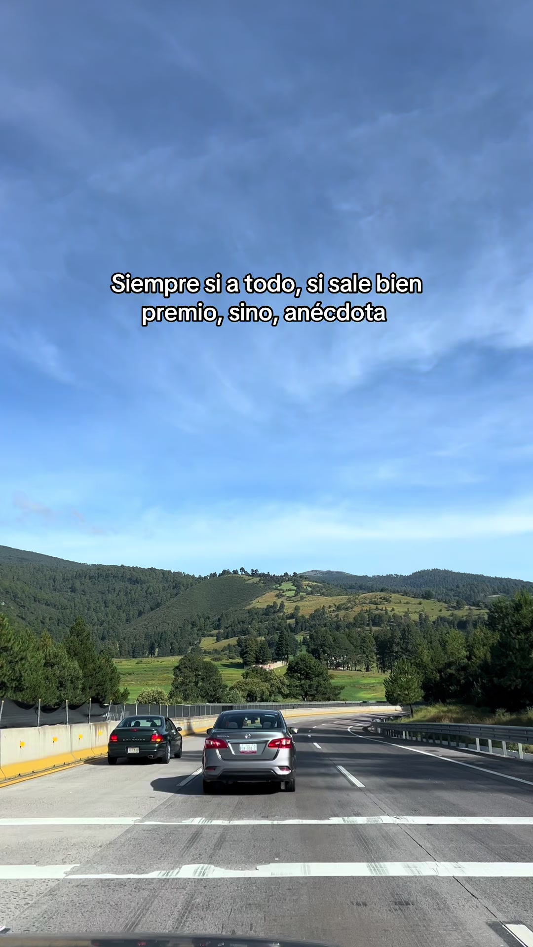 @Steffy Gards
