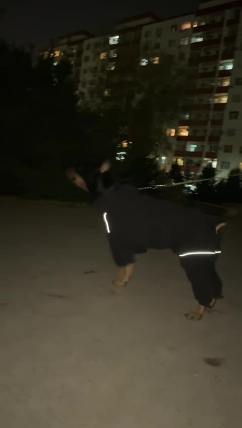 @dobi.baron