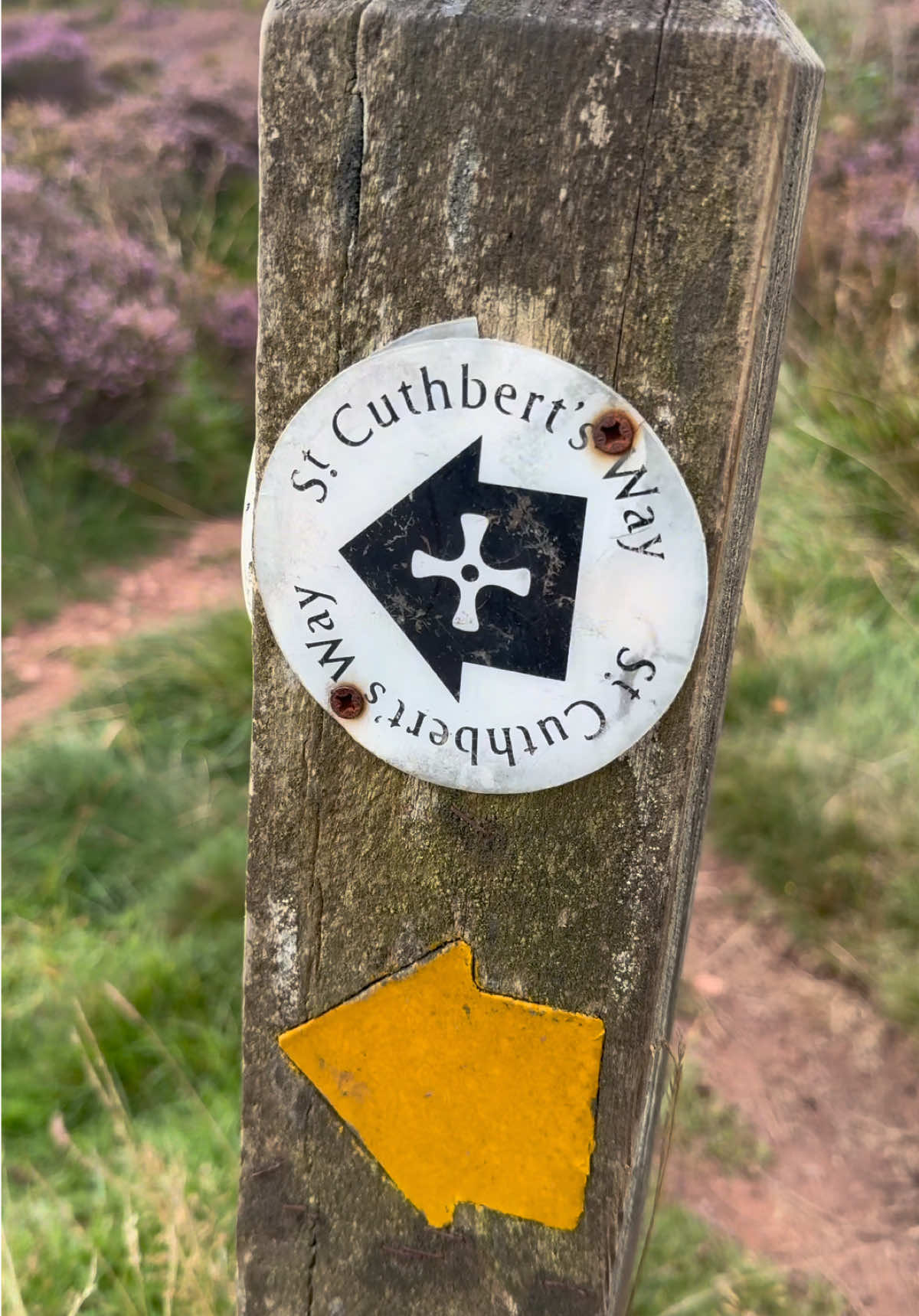 @Thru-hiking community