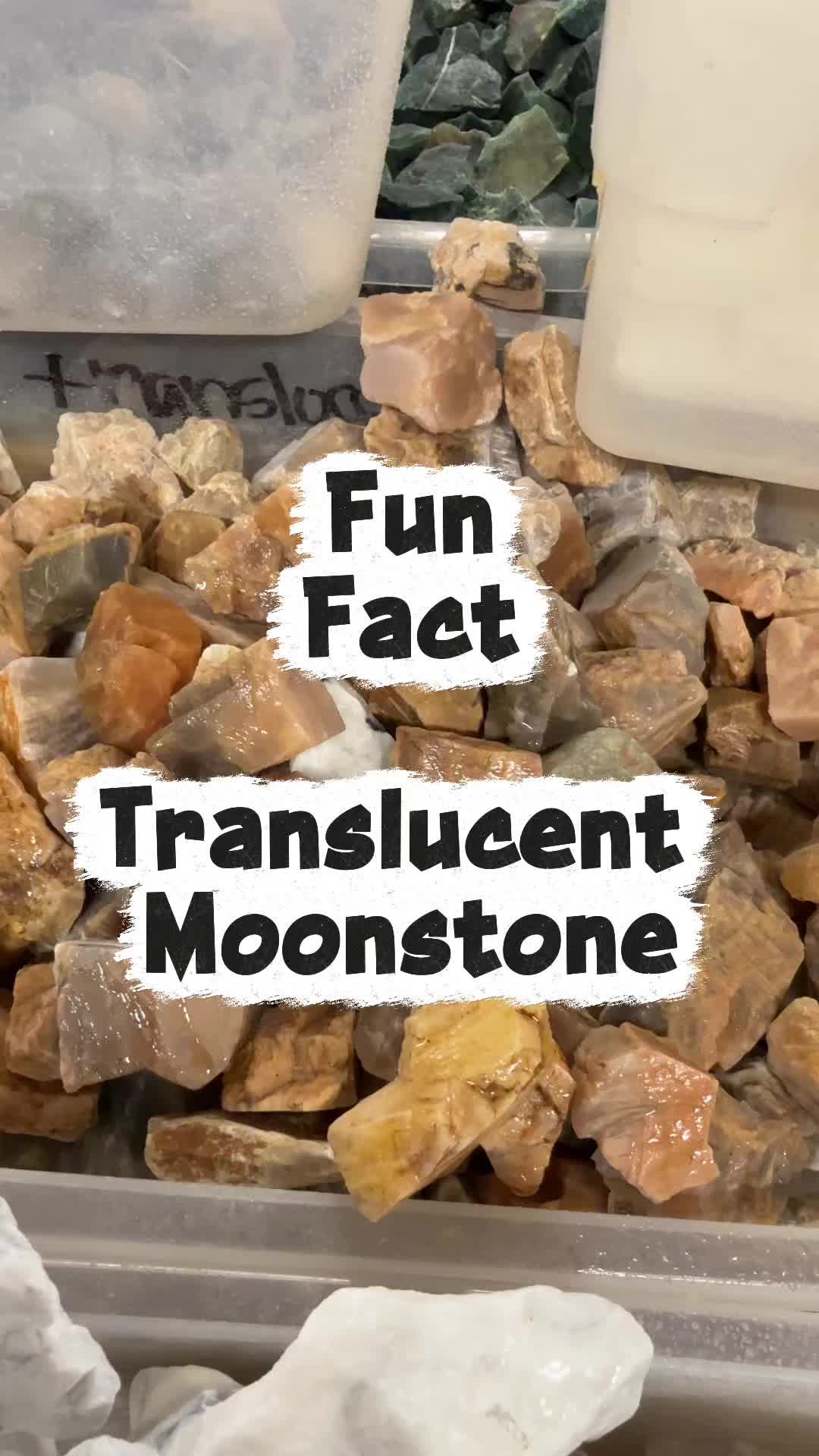 @buriedtreasure