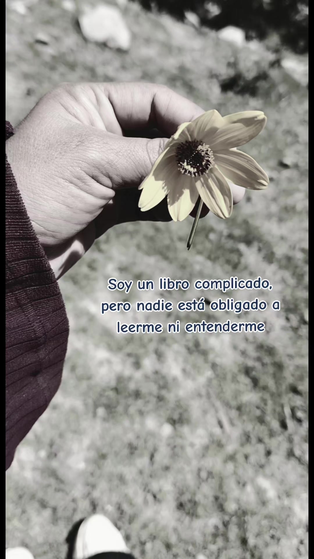 @🦋 Nery Villanueva ❤️💫