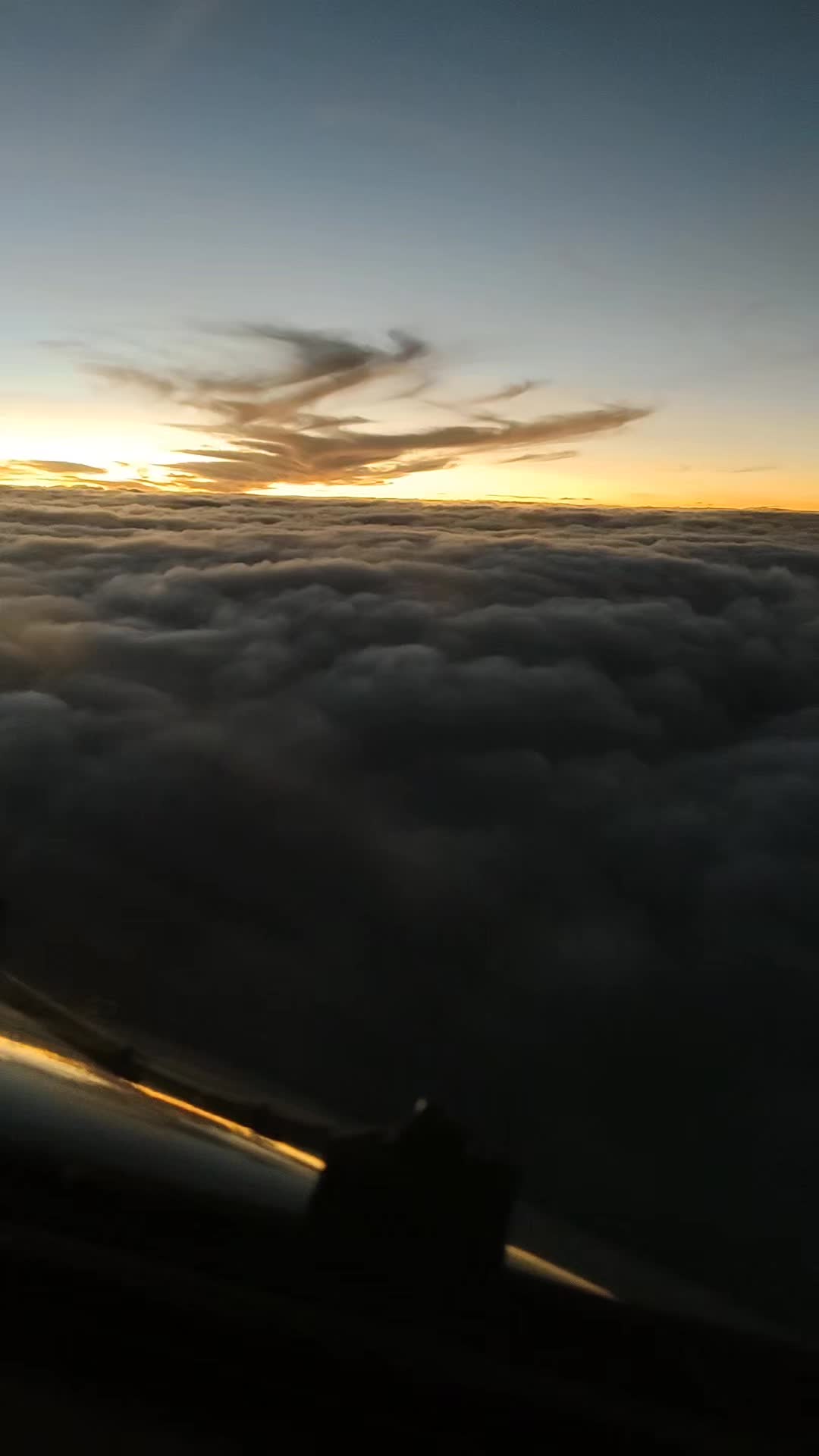 @Ys_Wrn ✈️