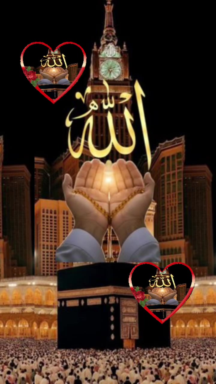 @Allah-Is-Great🙏