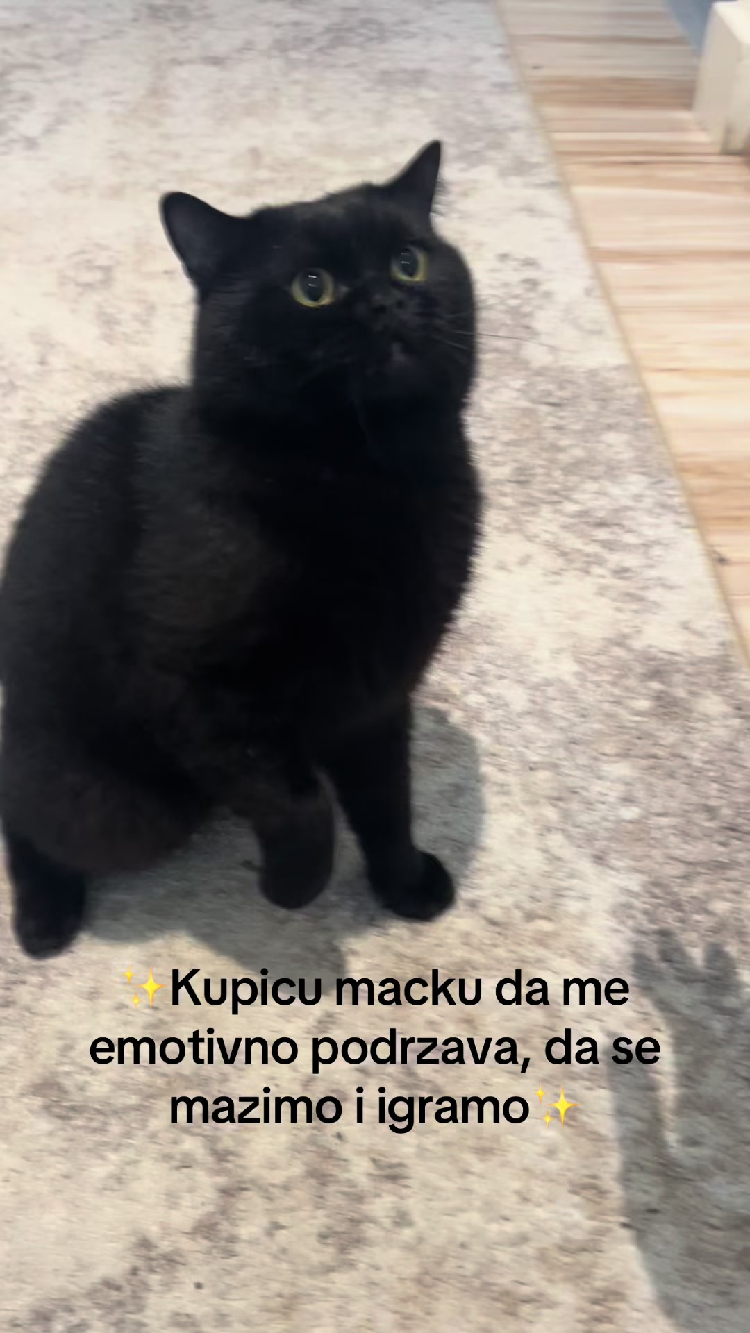 @Amra Kokic