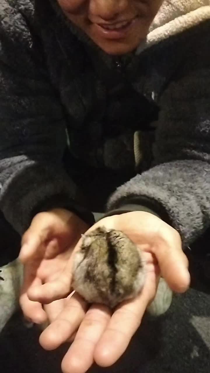 @Аррас09
