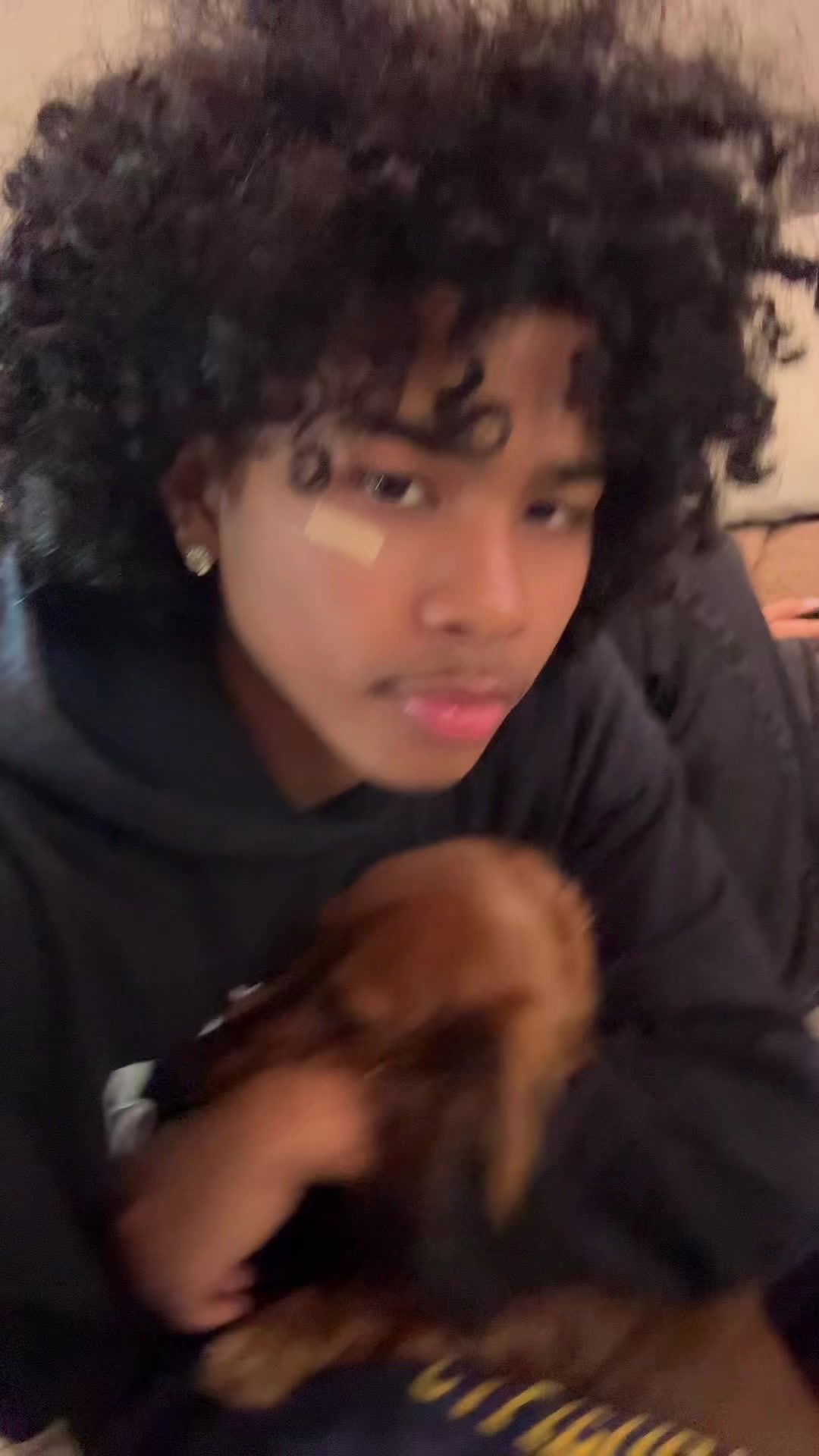 @jaydn