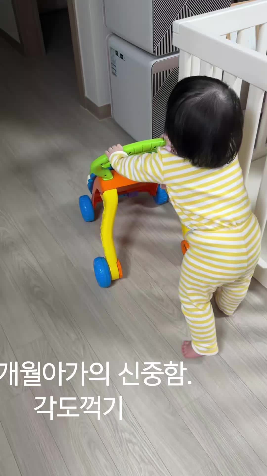@바다정원