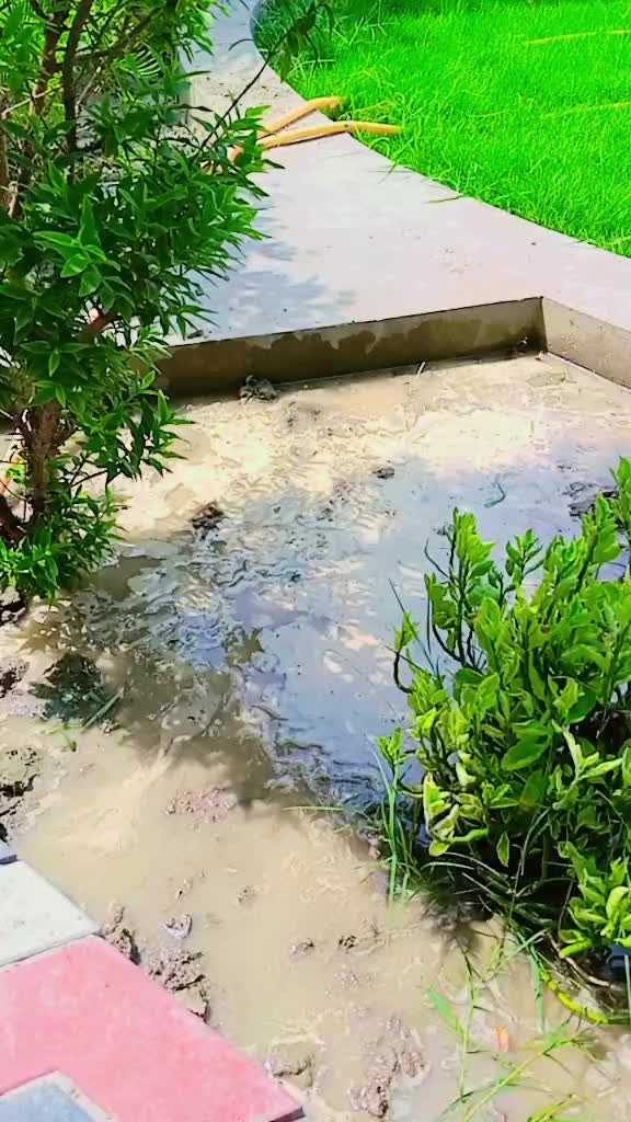 @Asim Khan kanpur 0786