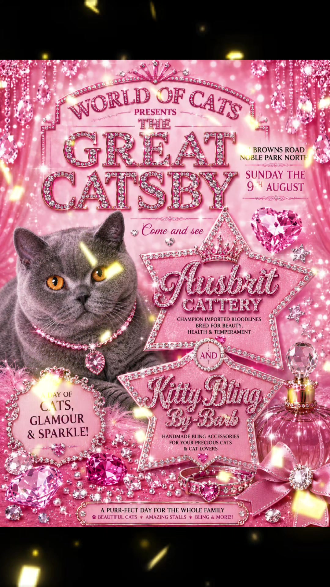 @🐈Barb🐈 Ausbrit Cattery  🇦🇺