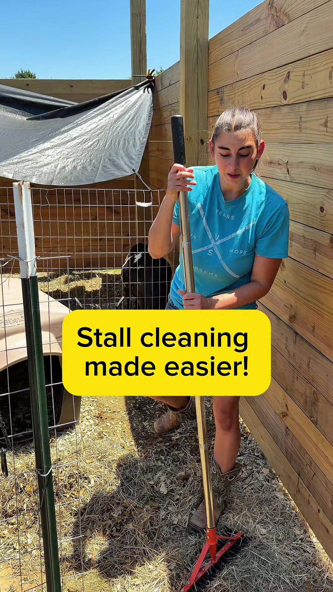 @Heart & Hoof Homestead