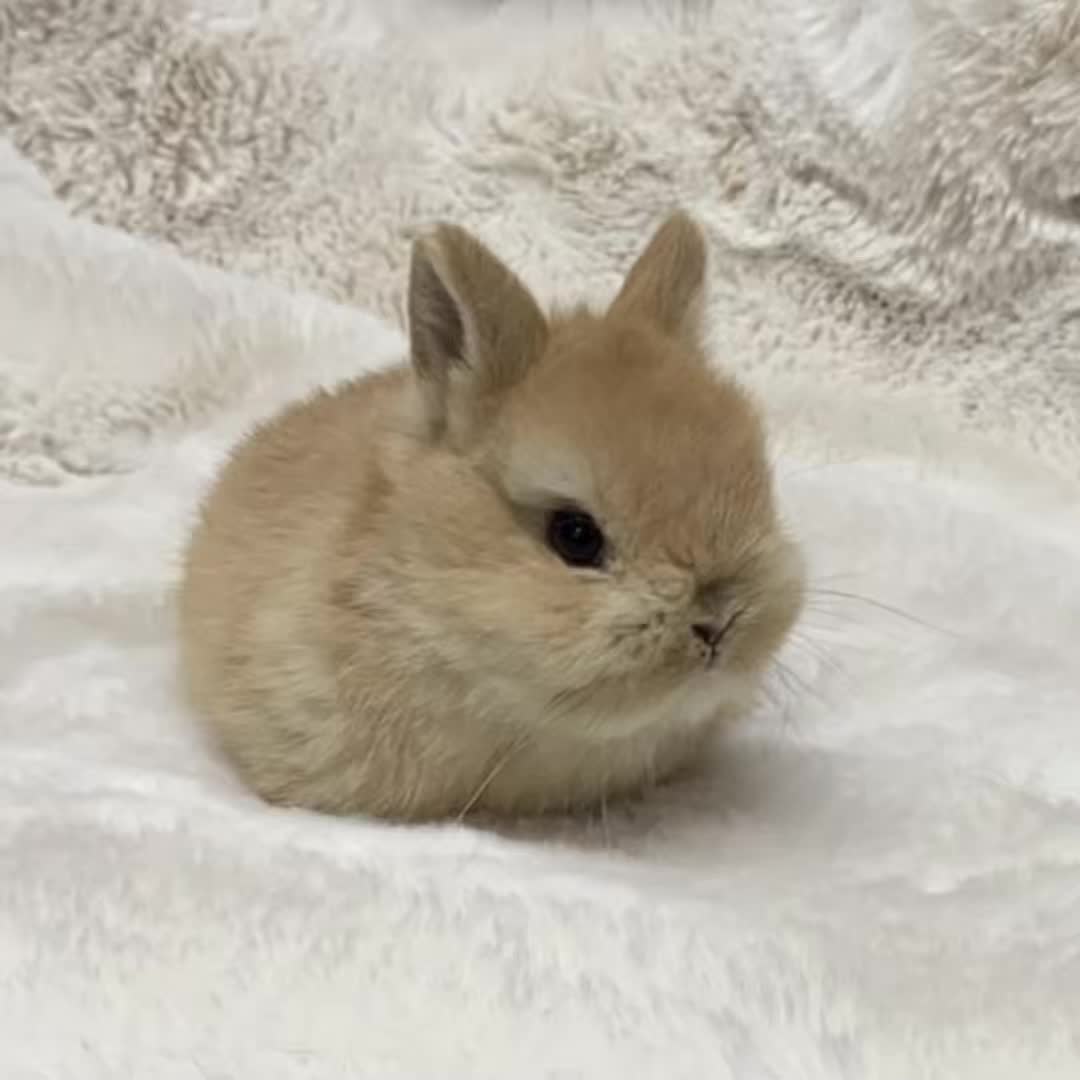 @𑣲𝓓.💕