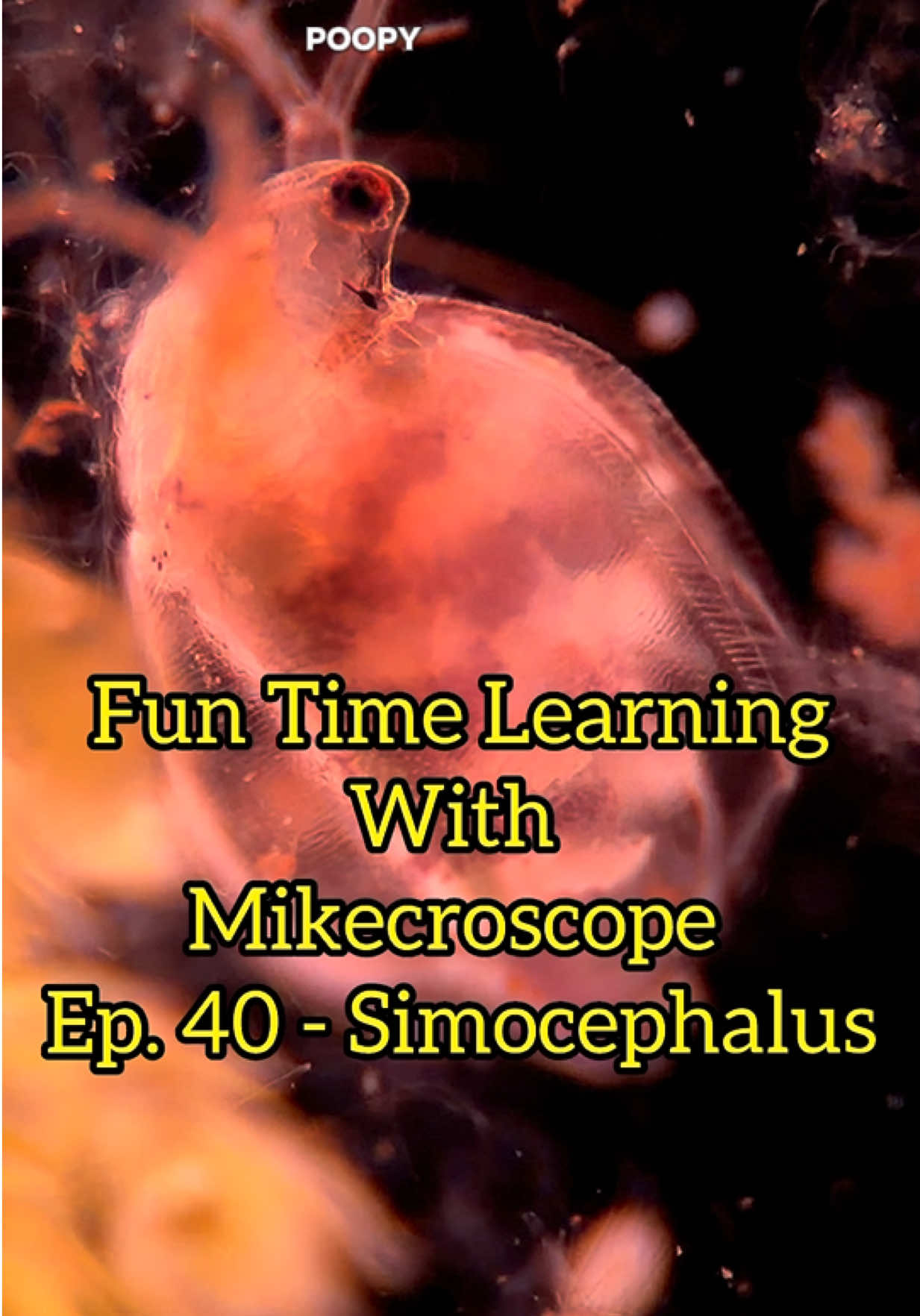 @Mikecroscope
