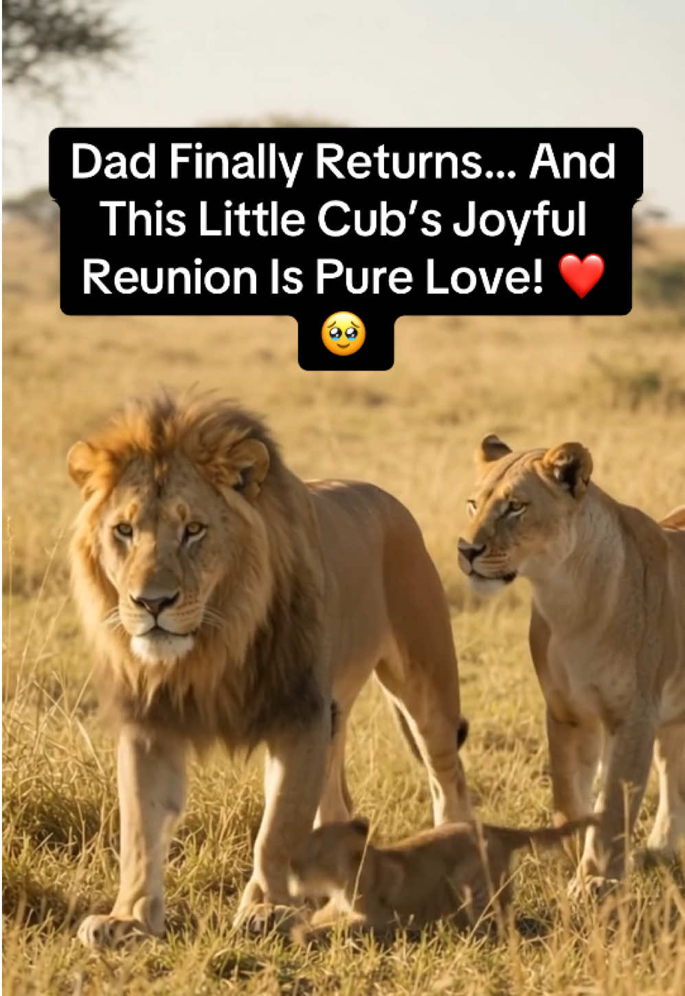 @KJ@LoveAnimalsEpicNature