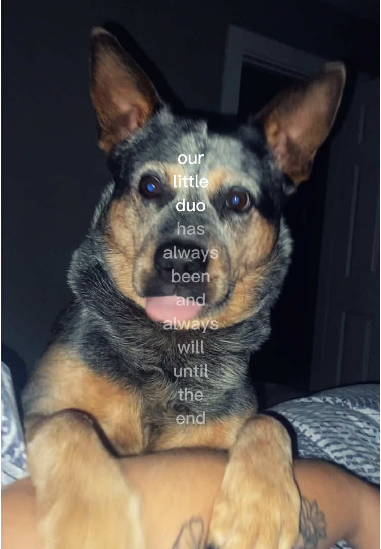 @Valerie Lahr
