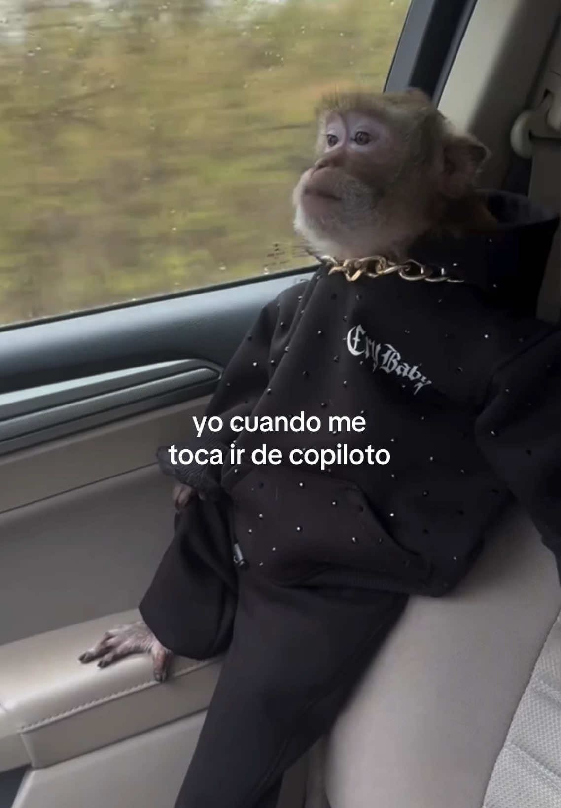 @daismined