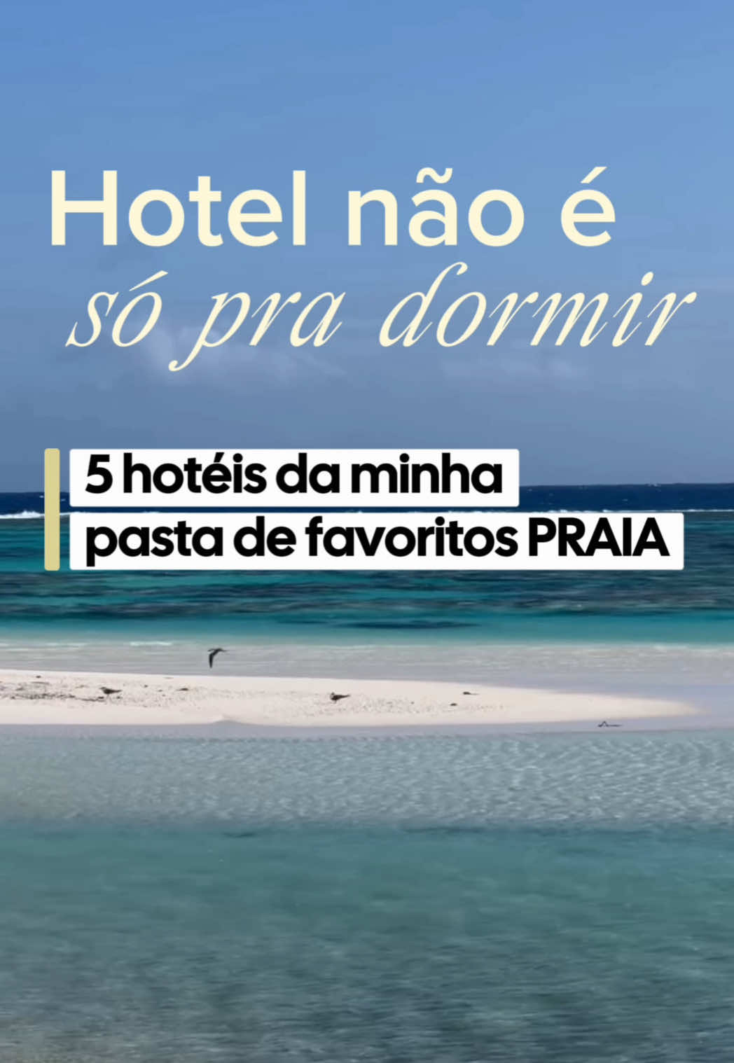 @Fabi e Lemos
