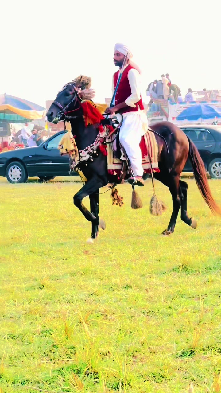 @Rai Asif Hayat khayalika