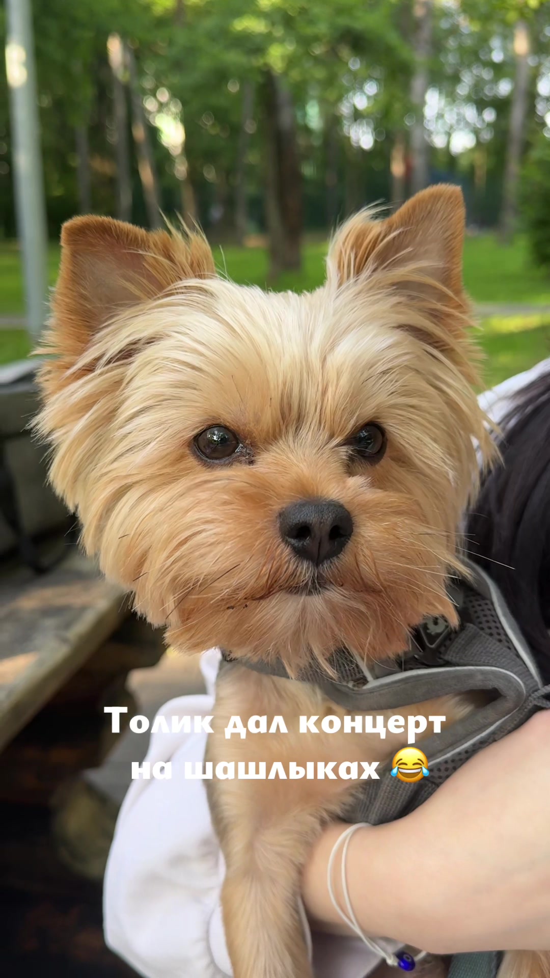 @лера и йорк толик