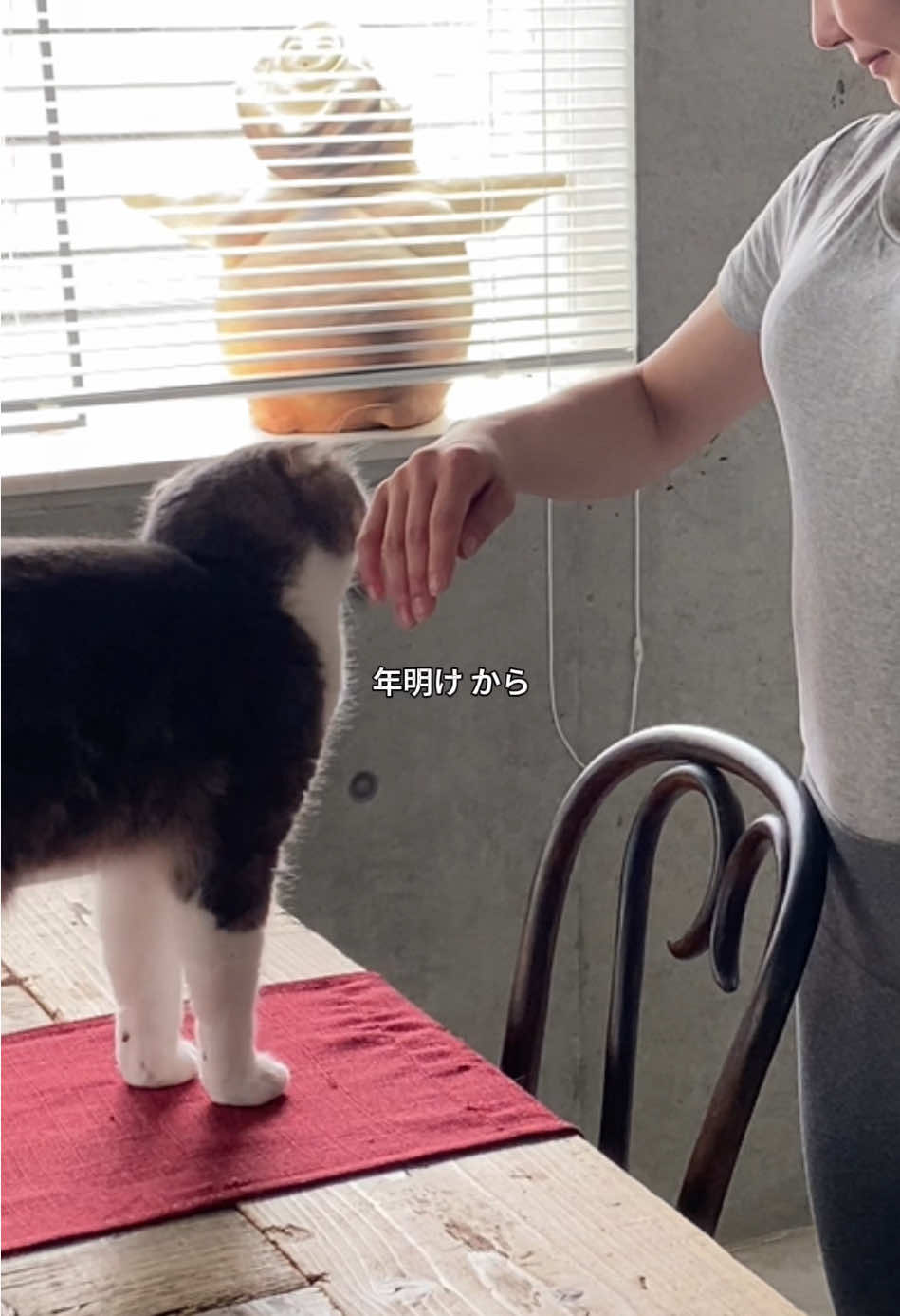 @さいとうなり