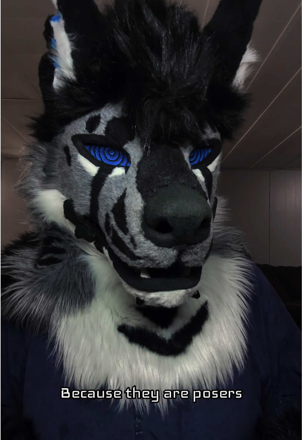 @sonar_hyena_shark