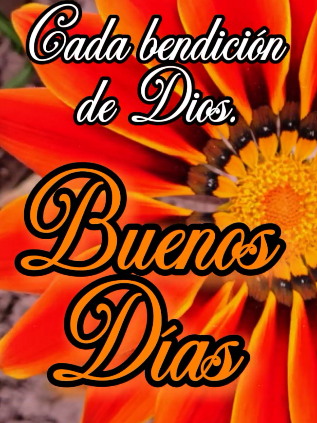 @Arely Mendoza Frases bonitas