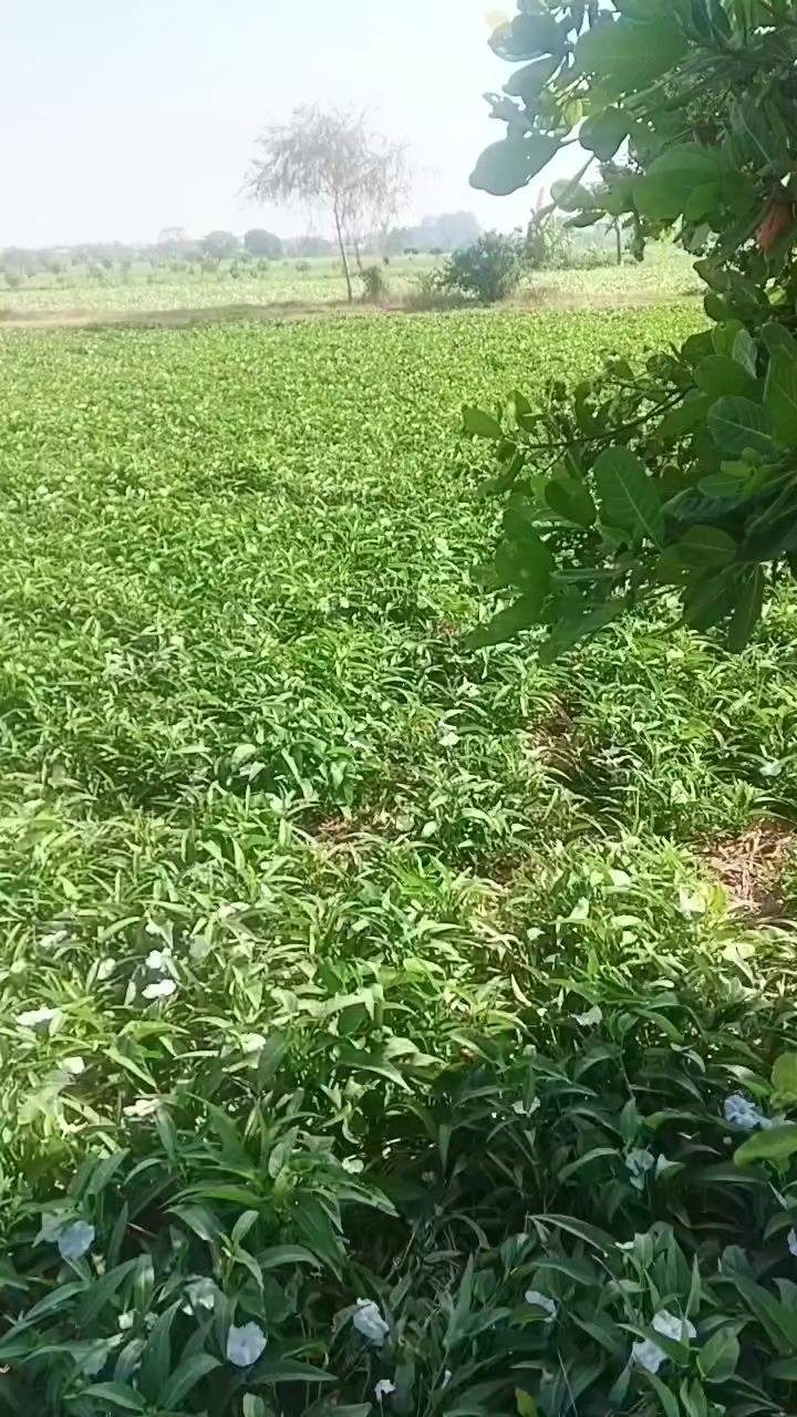 @Agk88