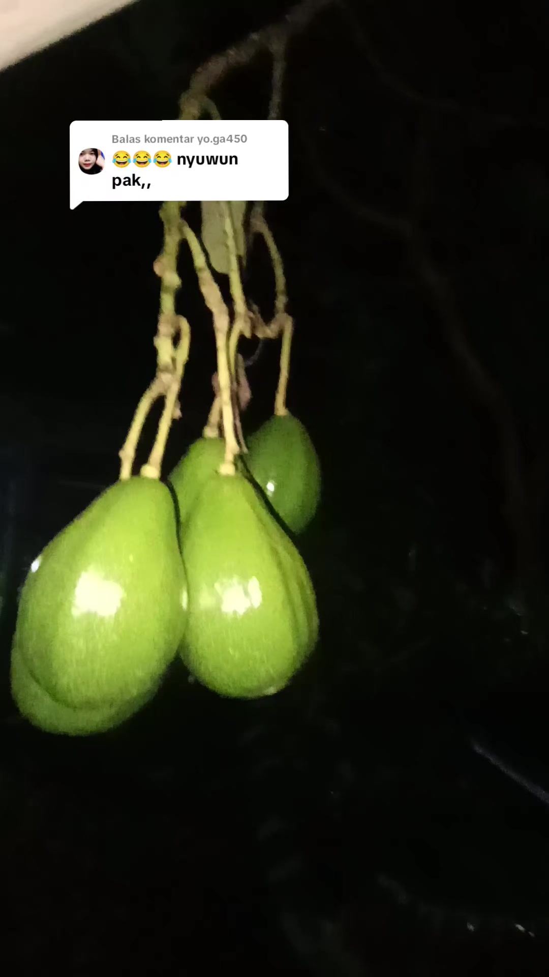 @masjoko salaman