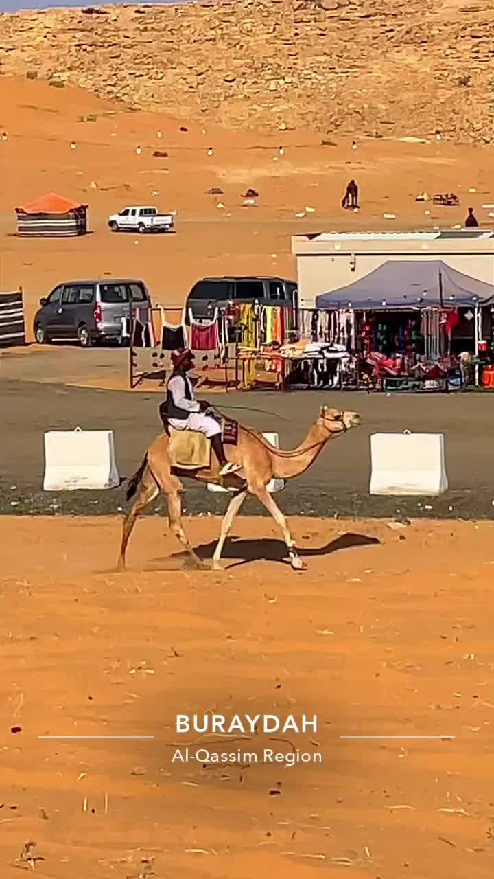 @(﮼صمت ﮼الجرو ح﮼)