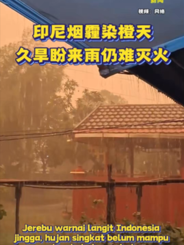 @中国报