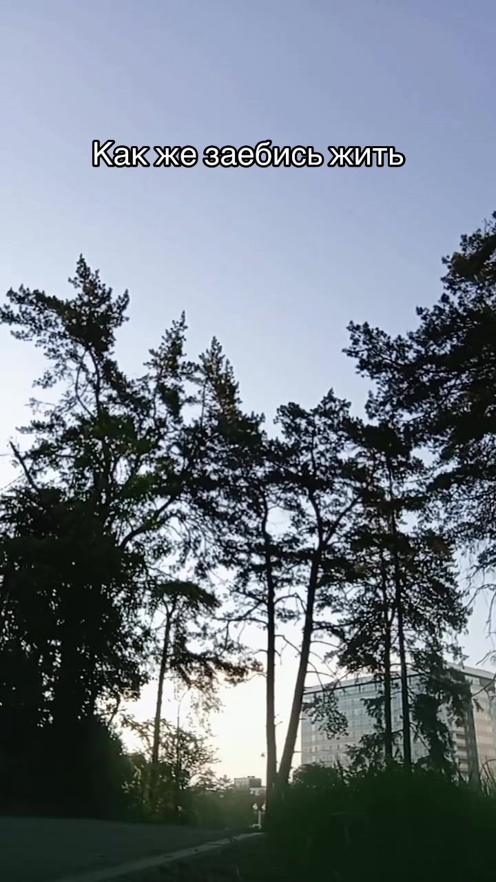 @Тгк: andreihuli